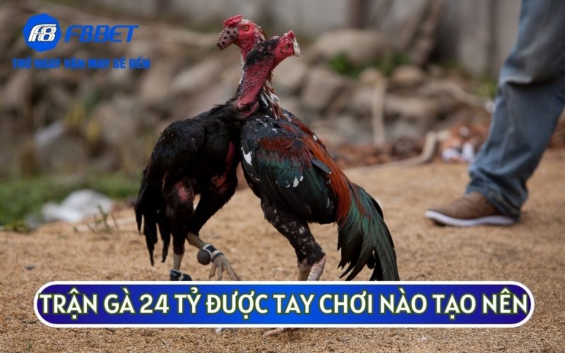 Có thể nói rằng Mít Trà Cú và Phúc Bình Dương được coi là hai sư kê khét tiếng tại Việt Nam