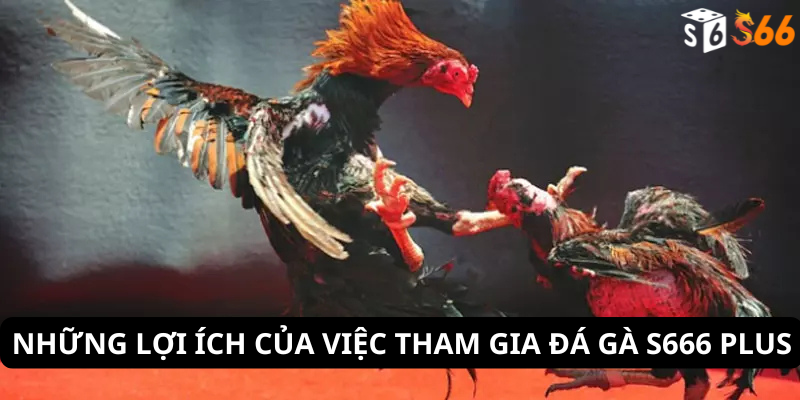 Những lợi ích của việc tham gia đá gà s666 plus