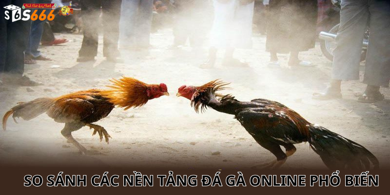 So sánh các nền tảng Đá gà online phổ biến