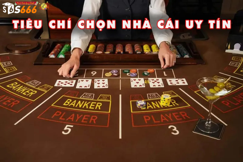 Lựa Chọn Nhà Cái Uy Tín