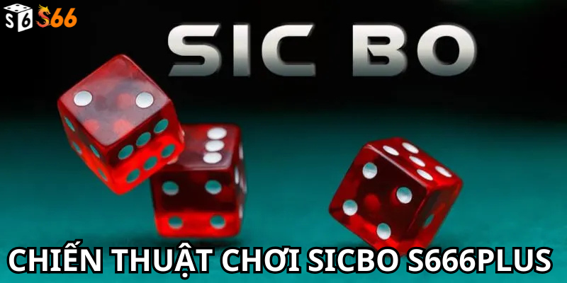 Chiến thuật chơi Sicbo S666Plus hiệu quả: Từ cơ bản đến nâng cao