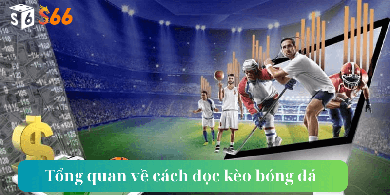 Tổng quan về cách đọc kèo bóng đá chi tiết bạn nên nắm rõ